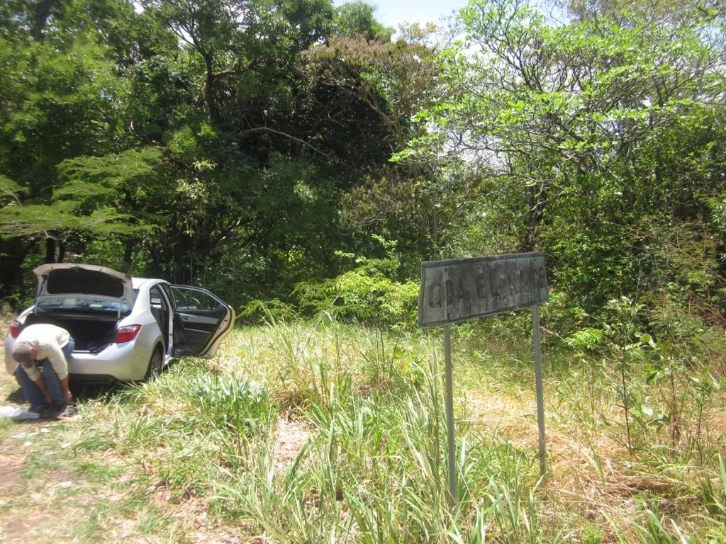 PROPERTY FOR SALE IN SANTA FE, VERAGUAS. 39 HECTARES (96.37 ACRES).