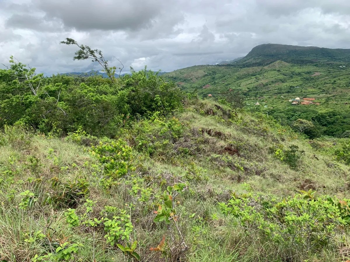 PROPERTY FOR SALE IN SANTA FE, VERAGUAS. 39 HECTARES (96.37 ACRES).