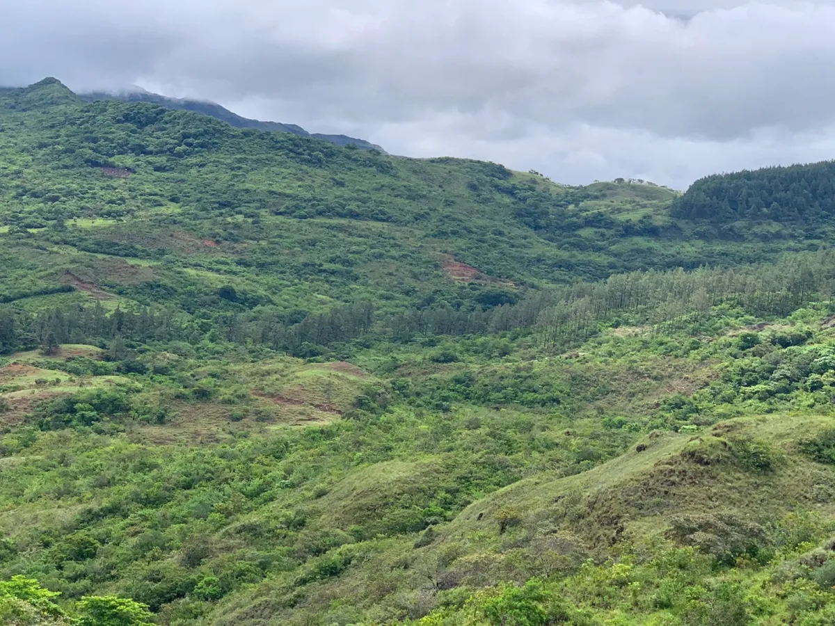 PROPIEDAD EN VENTA EN SANTA FE, VERAGUAS. 39 HECTÁREAS (96,37 ACRES).