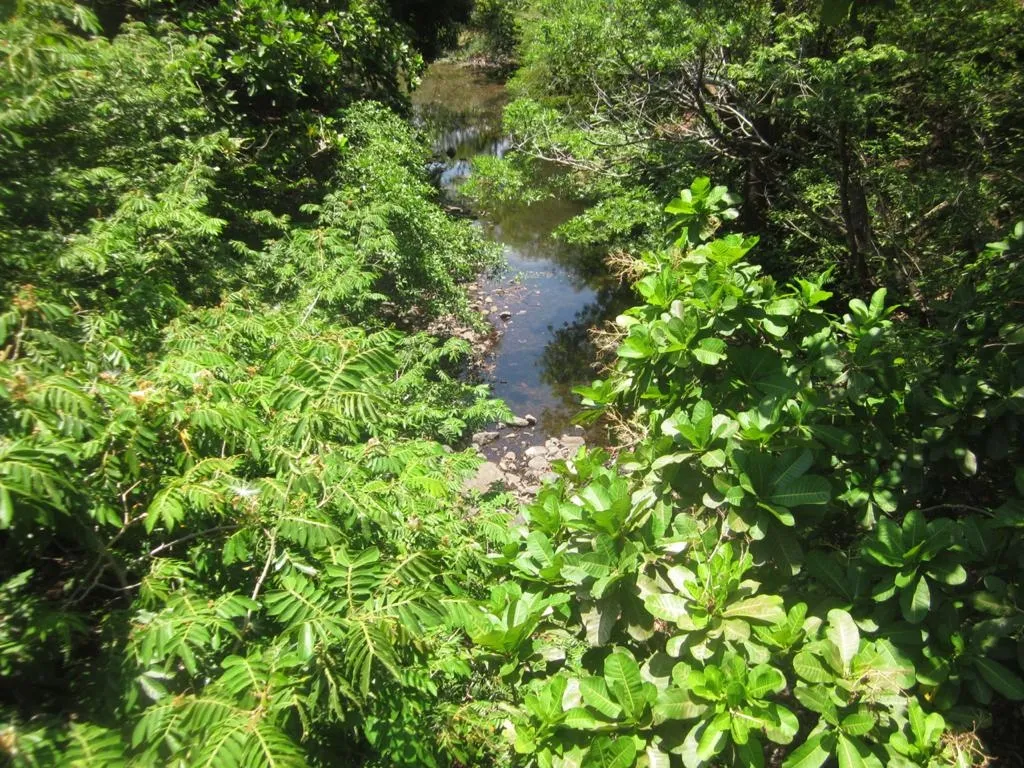 PROPIEDAD EN VENTA EN SANTA FE, VERAGUAS. 39 HECTÁREAS (96,37 ACRES).