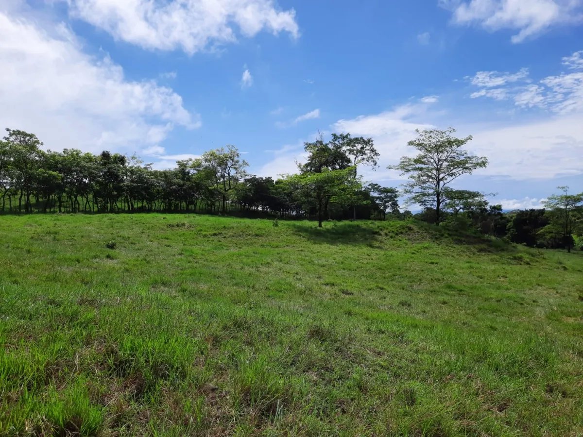 INCREDIBLE PROPERTY OF 3 HECTARES (7.413 ACRES) FOR SALE, IN SANTA CATALINA, VERAGUAS.