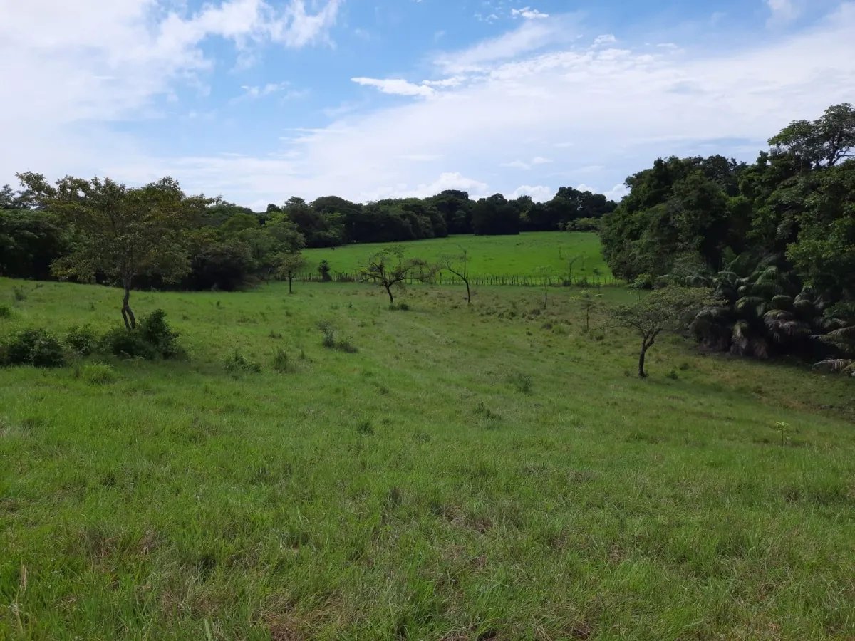 INCREDIBLE PROPERTY OF 3 HECTARES (7.413 ACRES) FOR SALE, IN SANTA CATALINA, VERAGUAS.