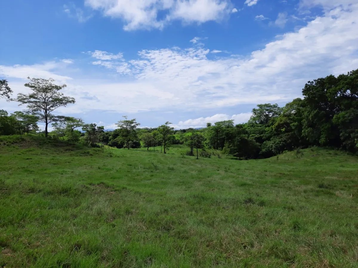 INCREDIBLE PROPERTY OF 3 HECTARES (7.413 ACRES) FOR SALE, IN SANTA CATALINA, VERAGUAS.