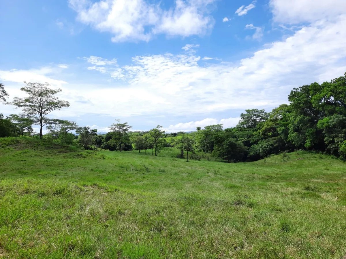 INCREDIBLE PROPERTY OF 3 HECTARES (7.413 ACRES) FOR SALE, IN SANTA CATALINA, VERAGUAS.