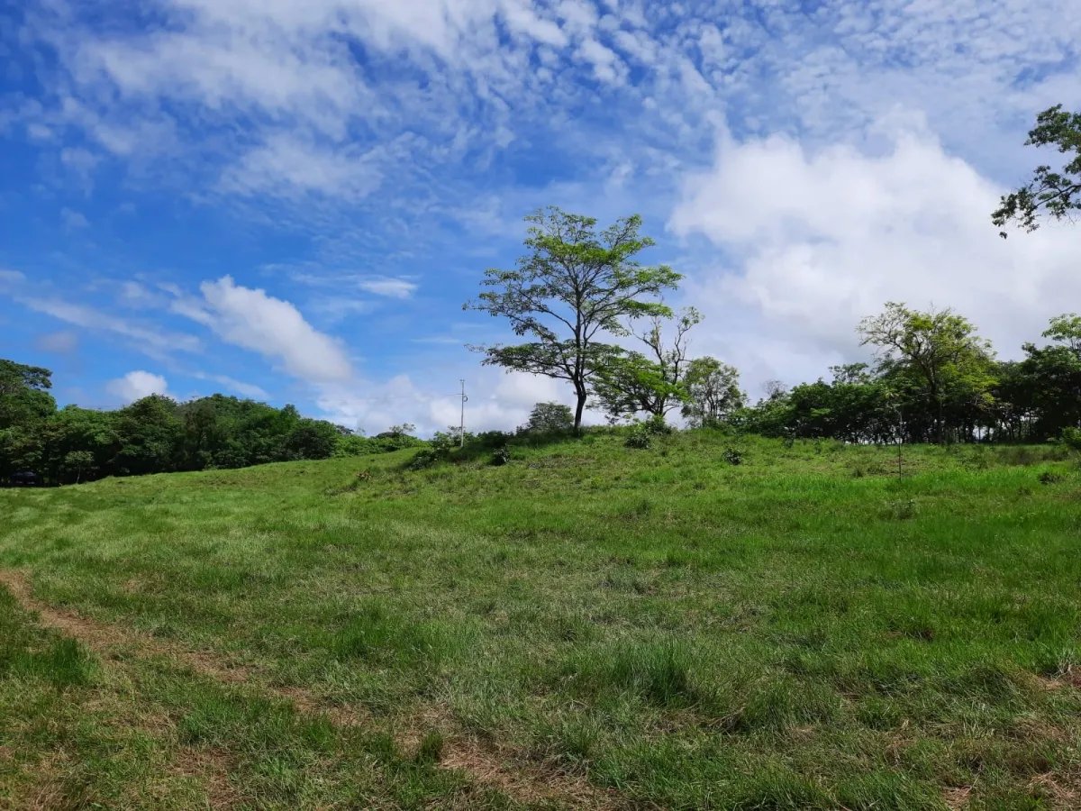 INCREDIBLE PROPERTY OF 3 HECTARES (7.413 ACRES) FOR SALE, IN SANTA CATALINA, VERAGUAS.