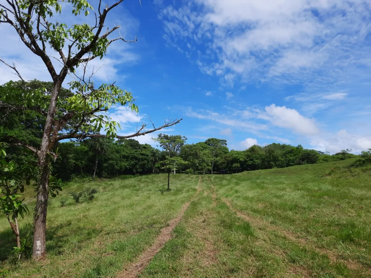 INCREÍBLE PROPIEDAD DE 3 HECTÁREAS EN VENTA, EN SANTA CATALINA, VERAGU...