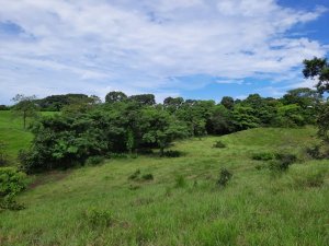 INCREDIBLE PROPERTY OF 3 HECTARES (7.413...