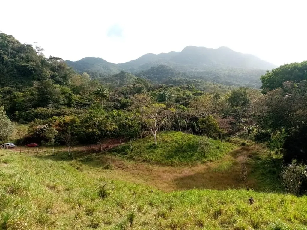 ESPECTACULAR FINCA EN VENTA EN PENONOME, 99 HECTÁREAS.