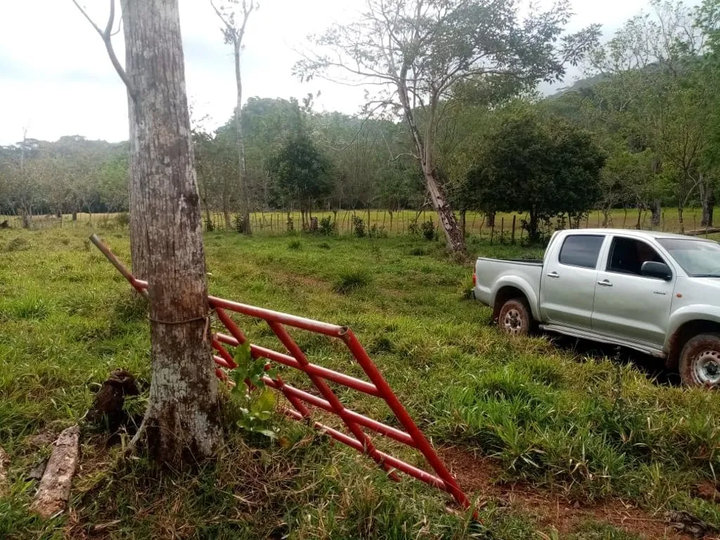 ESPECTACULAR FINCA EN VENTA EN PENONOME, 99 HECTÁREAS.