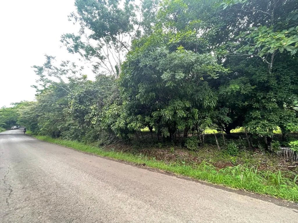 PROPERTY OF GREAT POTENTIAL FOR SALE ON THE EDGE OF MAIN STREET, IN HI...
