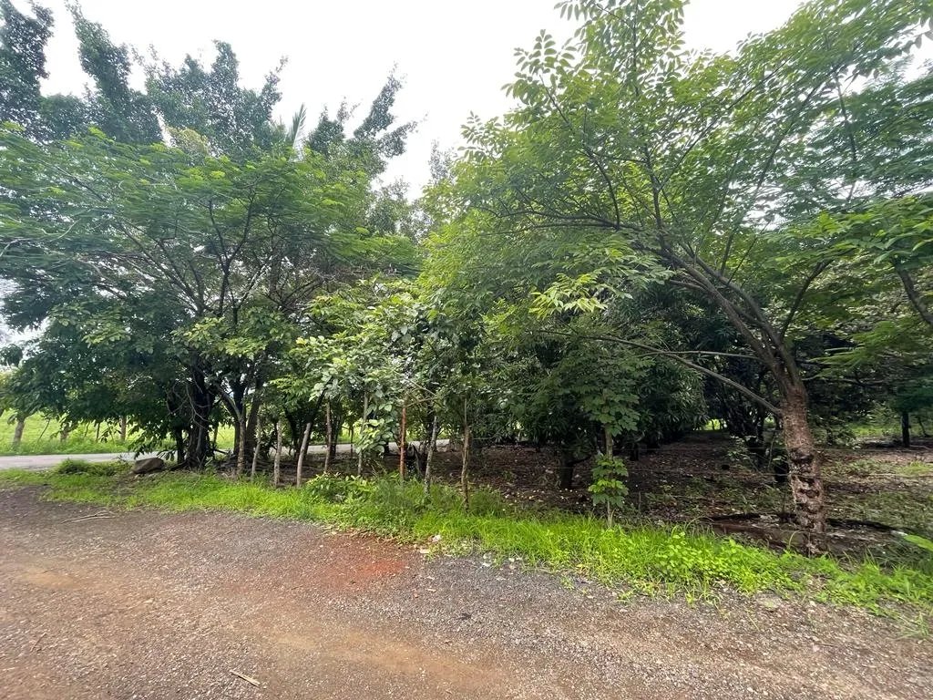 PROPERTY OF GREAT POTENTIAL FOR SALE ON THE EDGE OF MAIN STREET, IN HI...