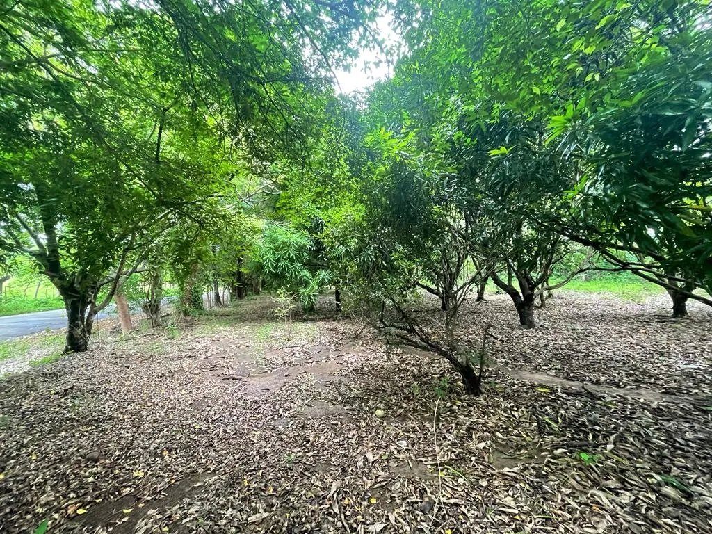 PROPERTY OF GREAT POTENTIAL FOR SALE ON THE EDGE OF MAIN STREET, IN HICACO, SANTA CATALINA, VERAGUAS. OF 13,000 SQUARE METERS (3.212 ACRES).