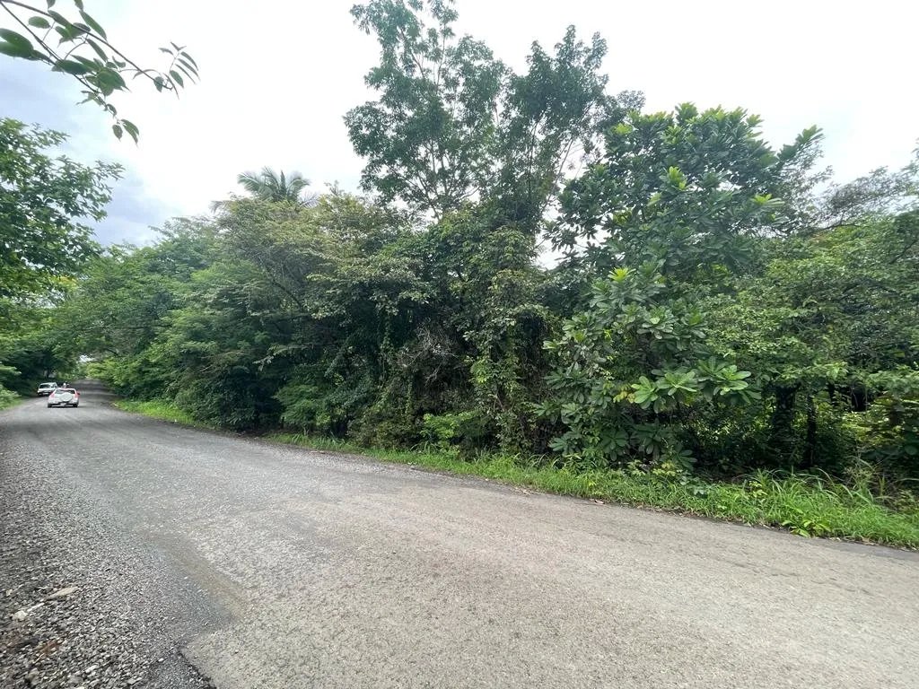 PROPERTY OF GREAT POTENTIAL FOR SALE ON THE EDGE OF MAIN STREET, IN HICACO, SANTA CATALINA, VERAGUAS. OF 13,000 SQUARE METERS (3.212 ACRES).