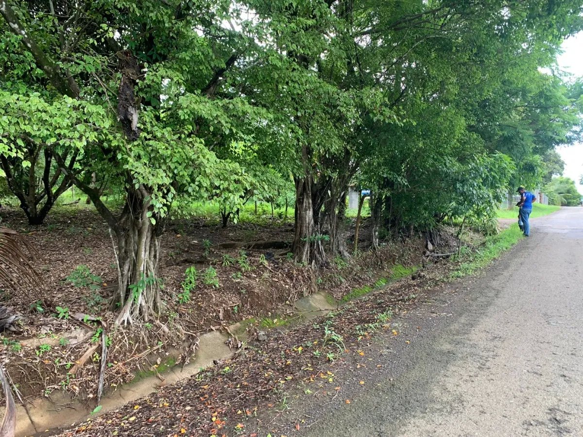 PROPERTY OF GREAT POTENTIAL FOR SALE ON THE EDGE OF MAIN STREET, IN HICACO, SANTA CATALINA, VERAGUAS. OF 13,000 SQUARE METERS (3.212 ACRES).
