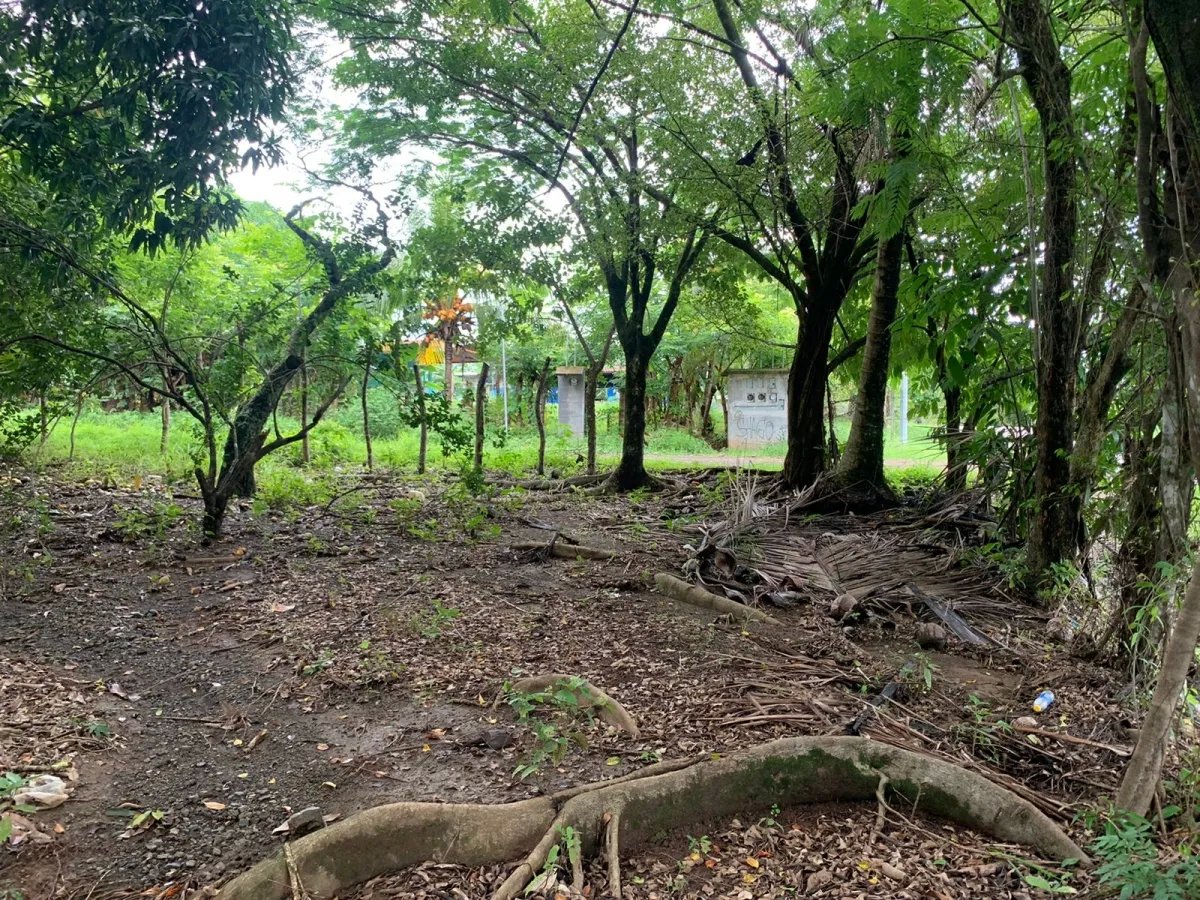 PROPERTY OF GREAT POTENTIAL FOR SALE ON THE EDGE OF MAIN STREET, IN HICACO, SANTA CATALINA, VERAGUAS. OF 13,000 SQUARE METERS (3.212 ACRES).