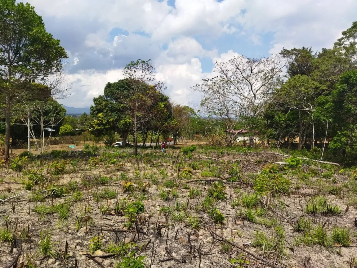 PROPERTY FOR SALE ON THE EDGE OF PAVED ROAD, IN THE REGION OF PENONOME. OF 1.1 HECTAREAS (2.71 ACRES)