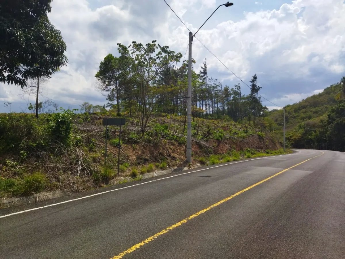 PROPERTY FOR SALE ON THE EDGE OF PAVED ROAD, IN THE REGION OF PENONOME. OF 1.1 HECTAREAS (2.71 ACRES)