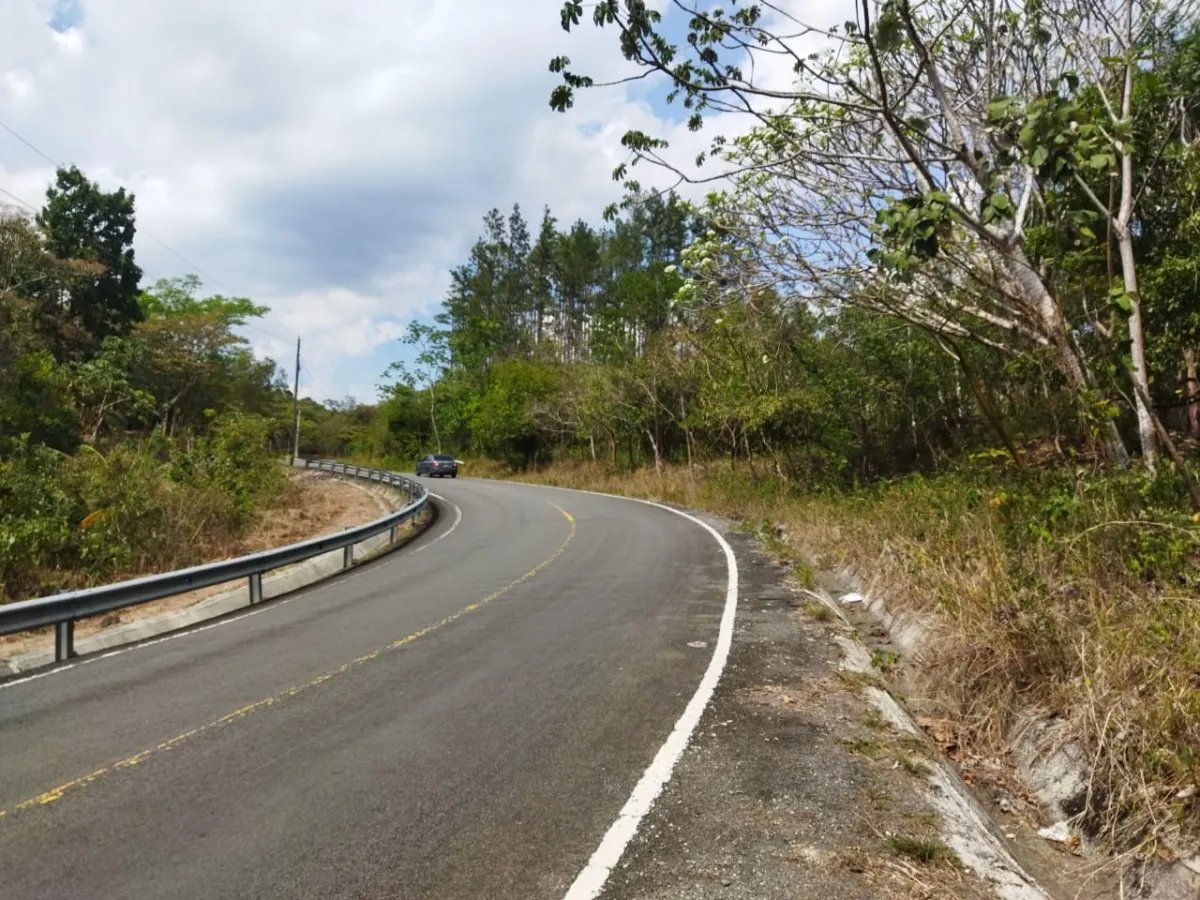 PROPERTY FOR SALE ON THE EDGE OF PAVED ROAD, IN THE REGION OF PENONOME. OF 1.1 HECTAREAS (2.71 ACRES)