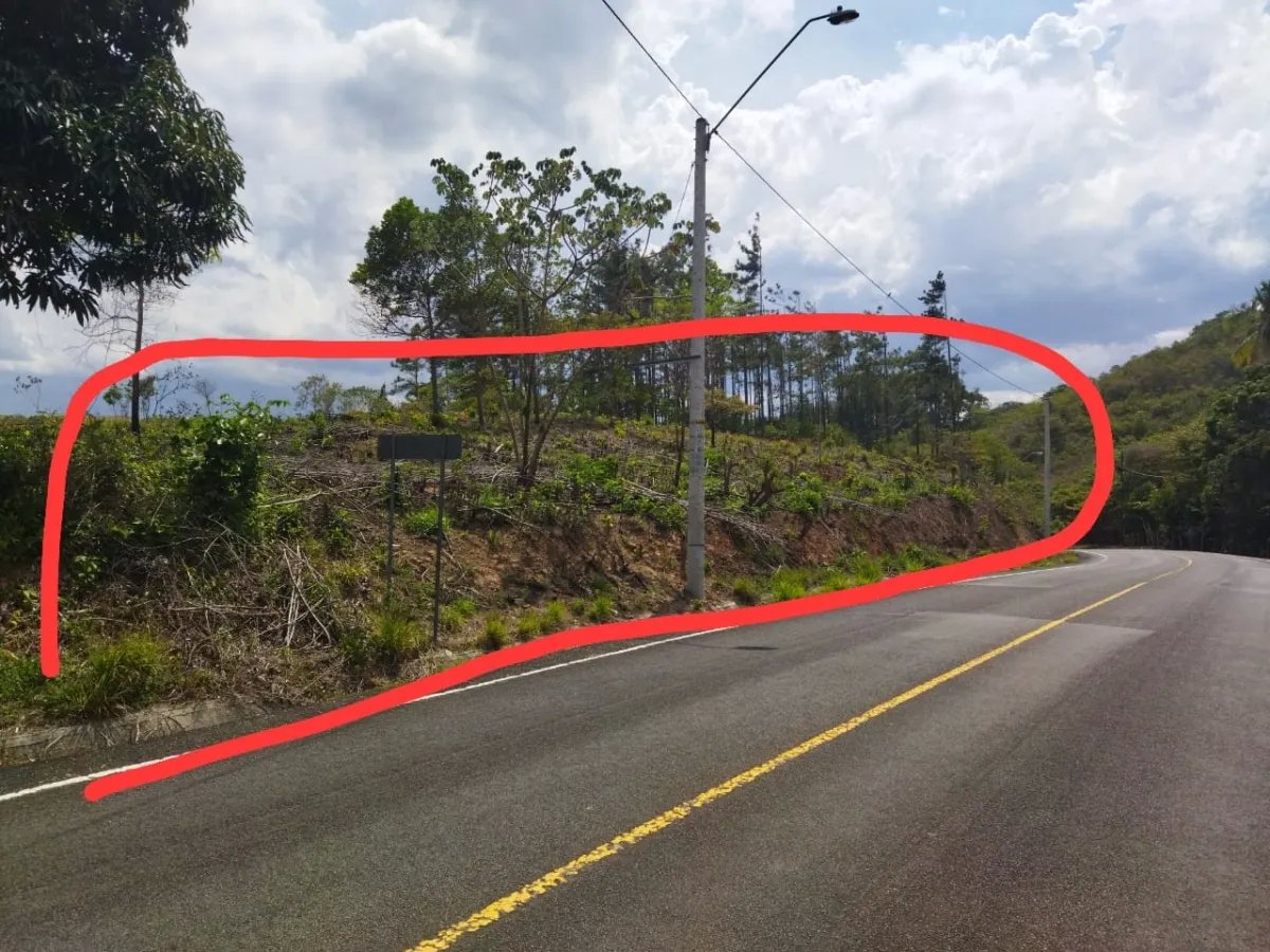 PROPERTY FOR SALE ON THE EDGE OF PAVED ROAD, IN THE REGION OF PENONOME. OF 1.1 HECTAREAS (2.71 ACRES)