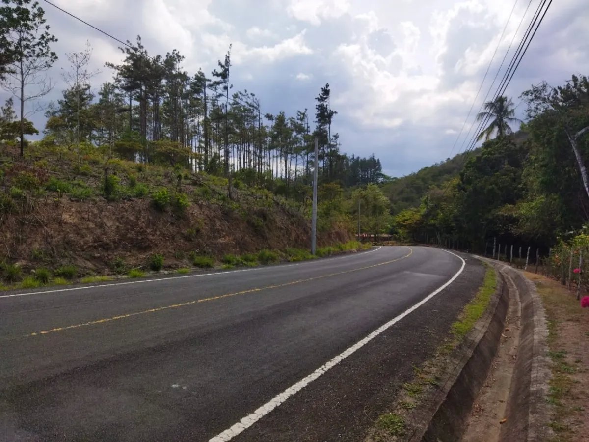 PROPERTY FOR SALE ON THE EDGE OF PAVED ROAD, IN THE REGION OF PENONOME. OF 1.1 HECTAREAS (2.71 ACRES)