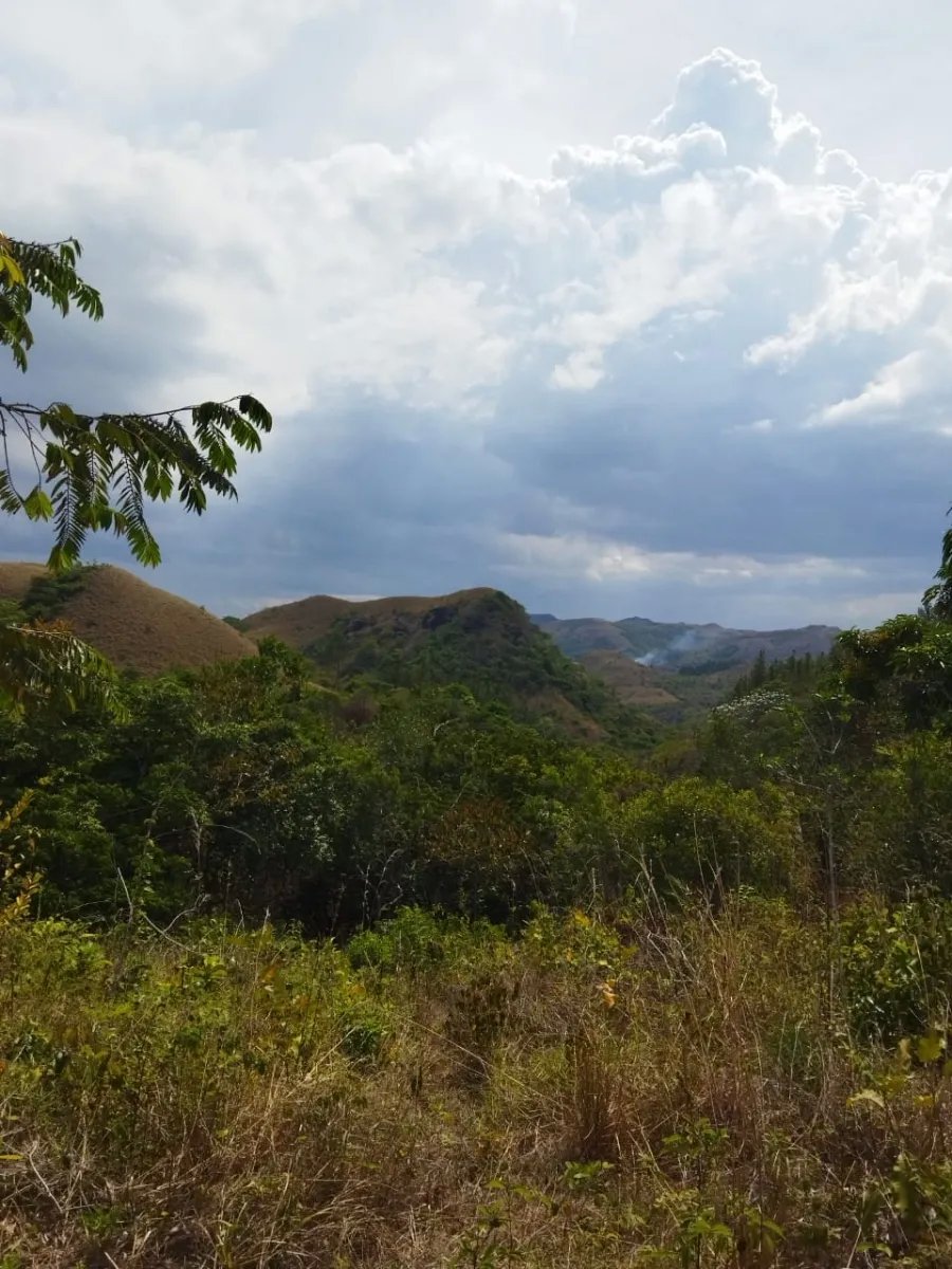 PROPERTY FOR SALE ON THE EDGE OF PAVED ROAD, IN THE REGION OF PENONOME. OF 1.1 HECTAREAS (2.71 ACRES)