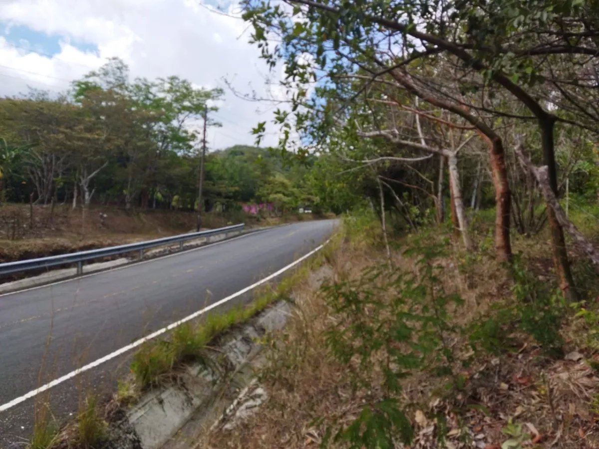 PROPERTY FOR SALE ON THE EDGE OF PAVED ROAD, IN THE REGION OF PENONOME. OF 1.1 HECTAREAS (2.71 ACRES)