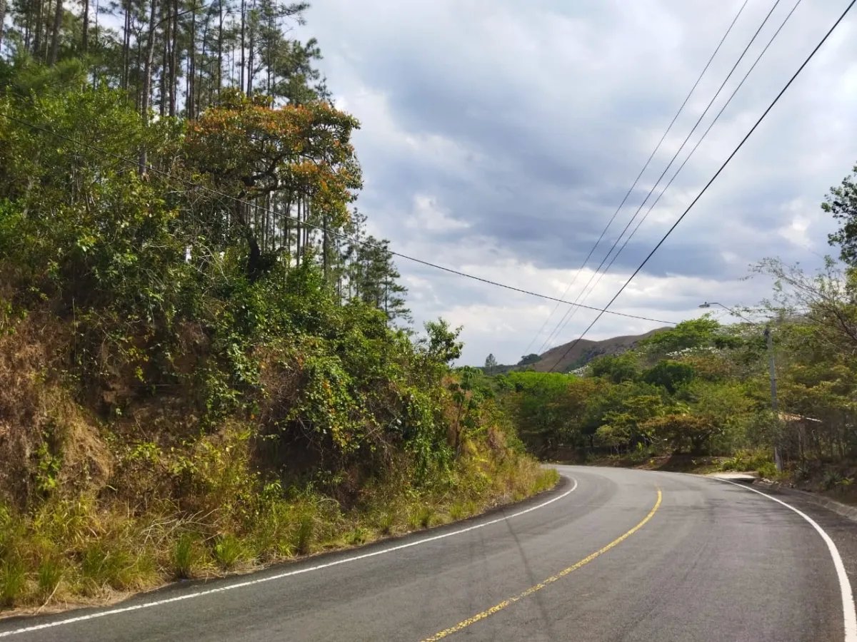 PROPERTY FOR SALE ON THE EDGE OF PAVED ROAD, IN THE REGION OF PENONOME. OF 1.1 HECTAREAS (2.71 ACRES)
