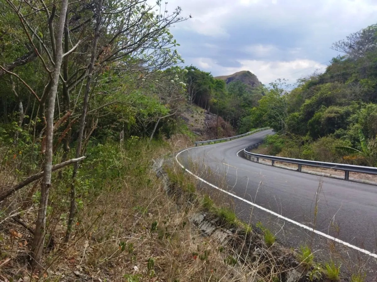PROPERTY FOR SALE ON THE EDGE OF PAVED ROAD, IN THE REGION OF PENONOME. OF 1.1 HECTAREAS (2.71 ACRES)