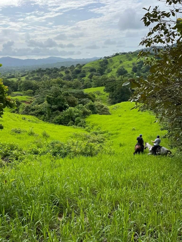 PROPERTY FOR SALE IN SONÁ, VERAGUAS. OF GREAT LENGTH 169 HA (417.60 ACRES).