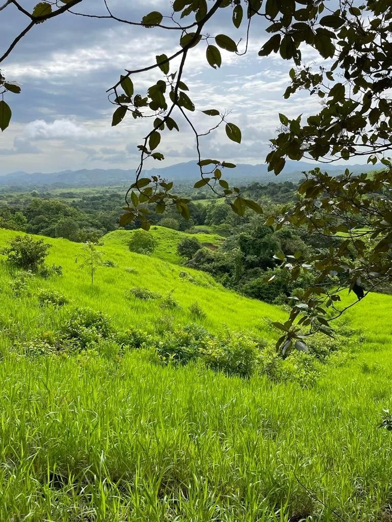 PROPERTY FOR SALE IN SONÁ, VERAGUAS. OF GREAT LENGTH 169 HA (417.60 ACRES).