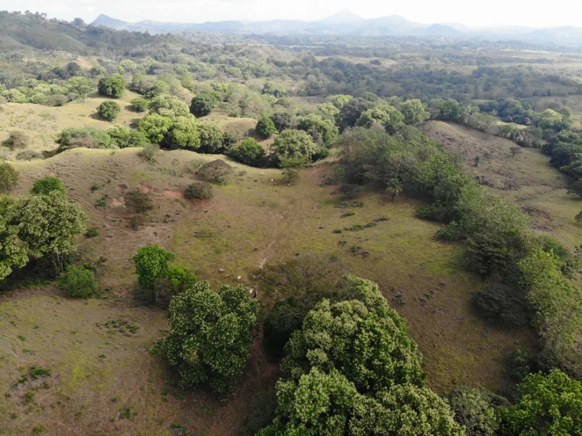 PROPIEDAD EN VENTA EN SONÁ, VERAGUAS. DE GRAN EXTENSIÓN 169 HA (417.60...