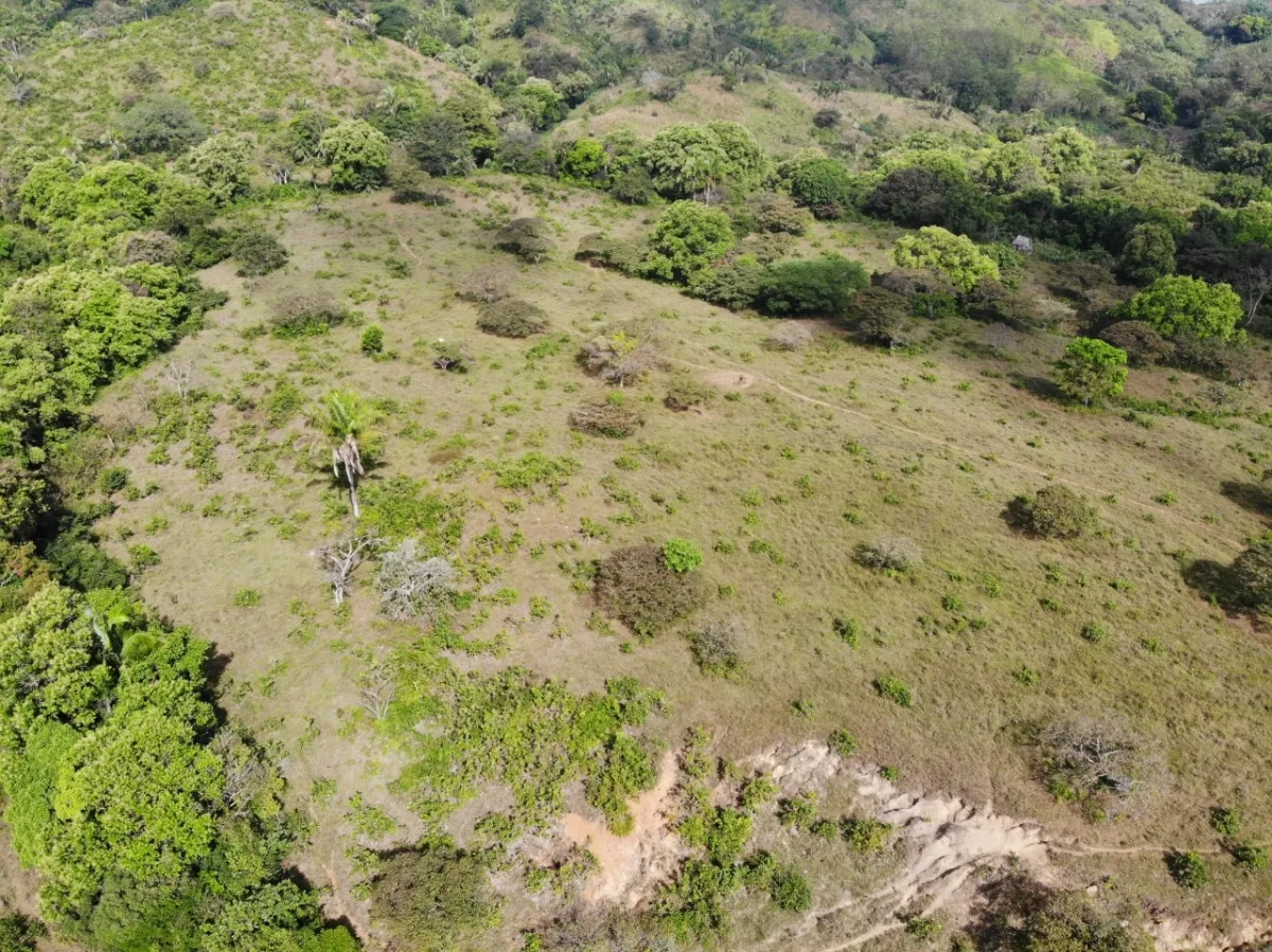 PROPIEDAD EN VENTA EN SONÁ, VERAGUAS. DE GRAN EXTENSIÓN 169 HA (417.60...