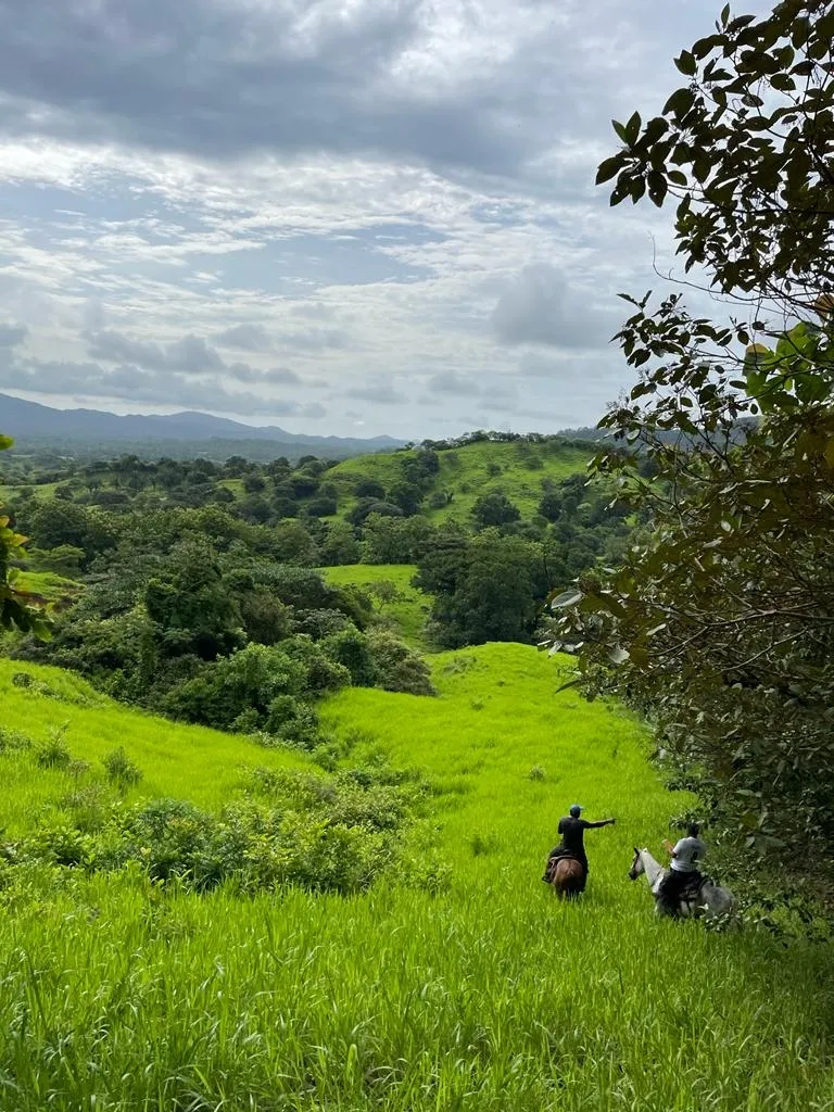 PROPIEDAD EN VENTA EN SONÁ, VERAGUAS. DE GRAN EXTENSIÓN 169 HA (417.60 ACRES).