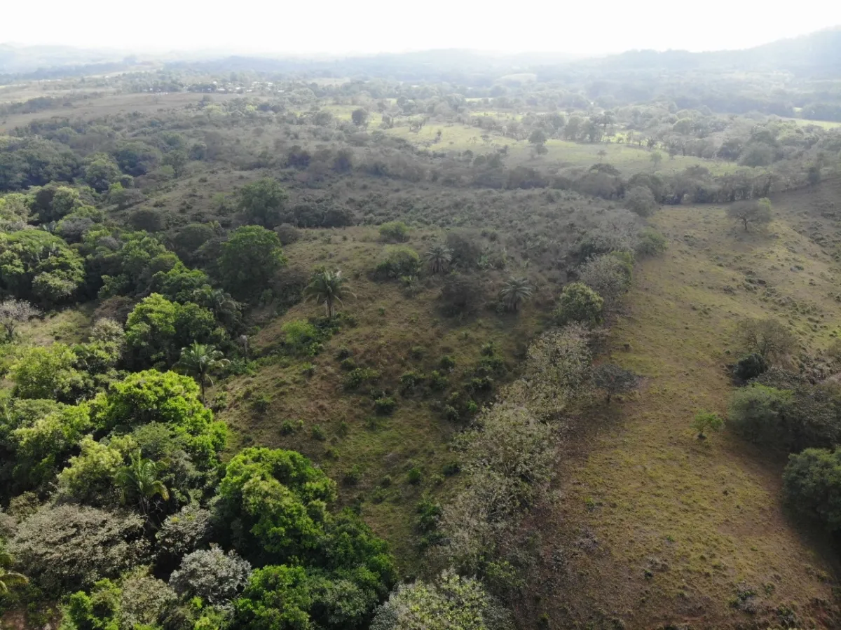 PROPIEDAD EN VENTA EN SONÁ, VERAGUAS. DE GRAN EXTENSIÓN 169 HA (417.60 ACRES).