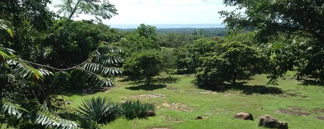 se vende finca via las lajas a solo 15 minutos de coronado