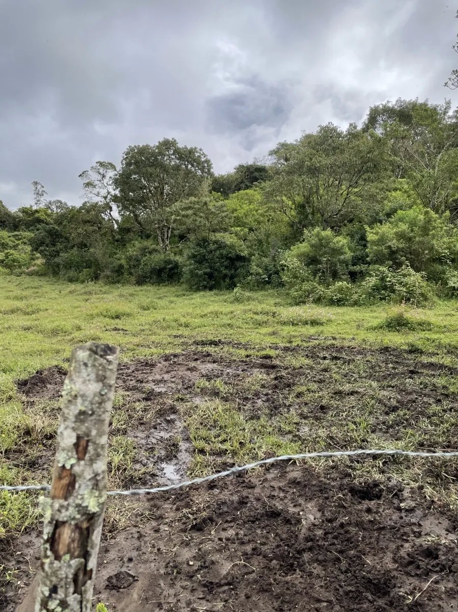 Perfect land for family compound in the highlands overlooking Volcán