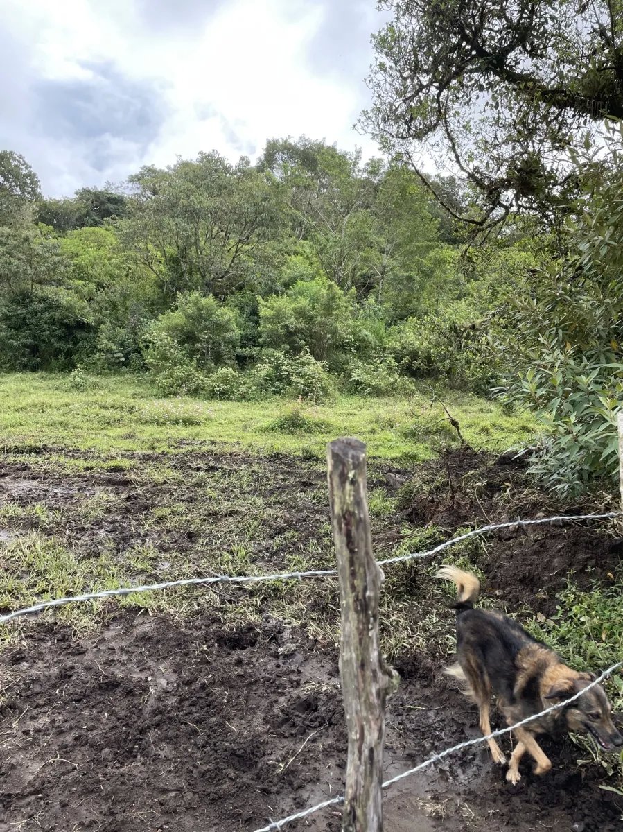 Perfect land for family compound in the highlands overlooking Volcán