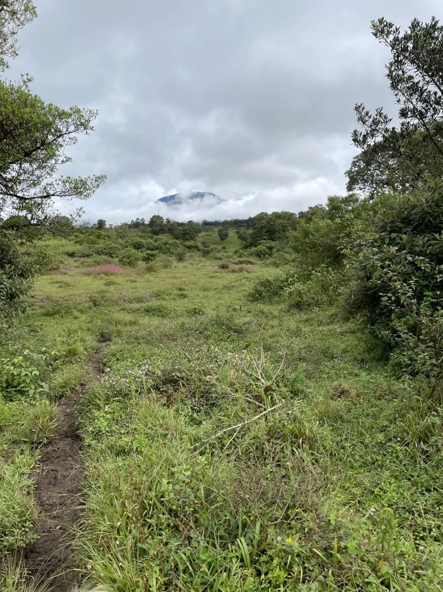 Perfect land for family compound in the highlands overlooking Volcán