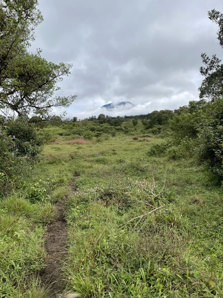 Perfect land for family compound in the highlands overlooking Volcán