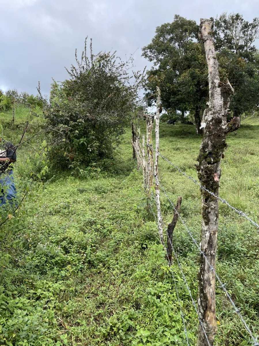 Perfect land for family compound in the highlands overlooking Volcán