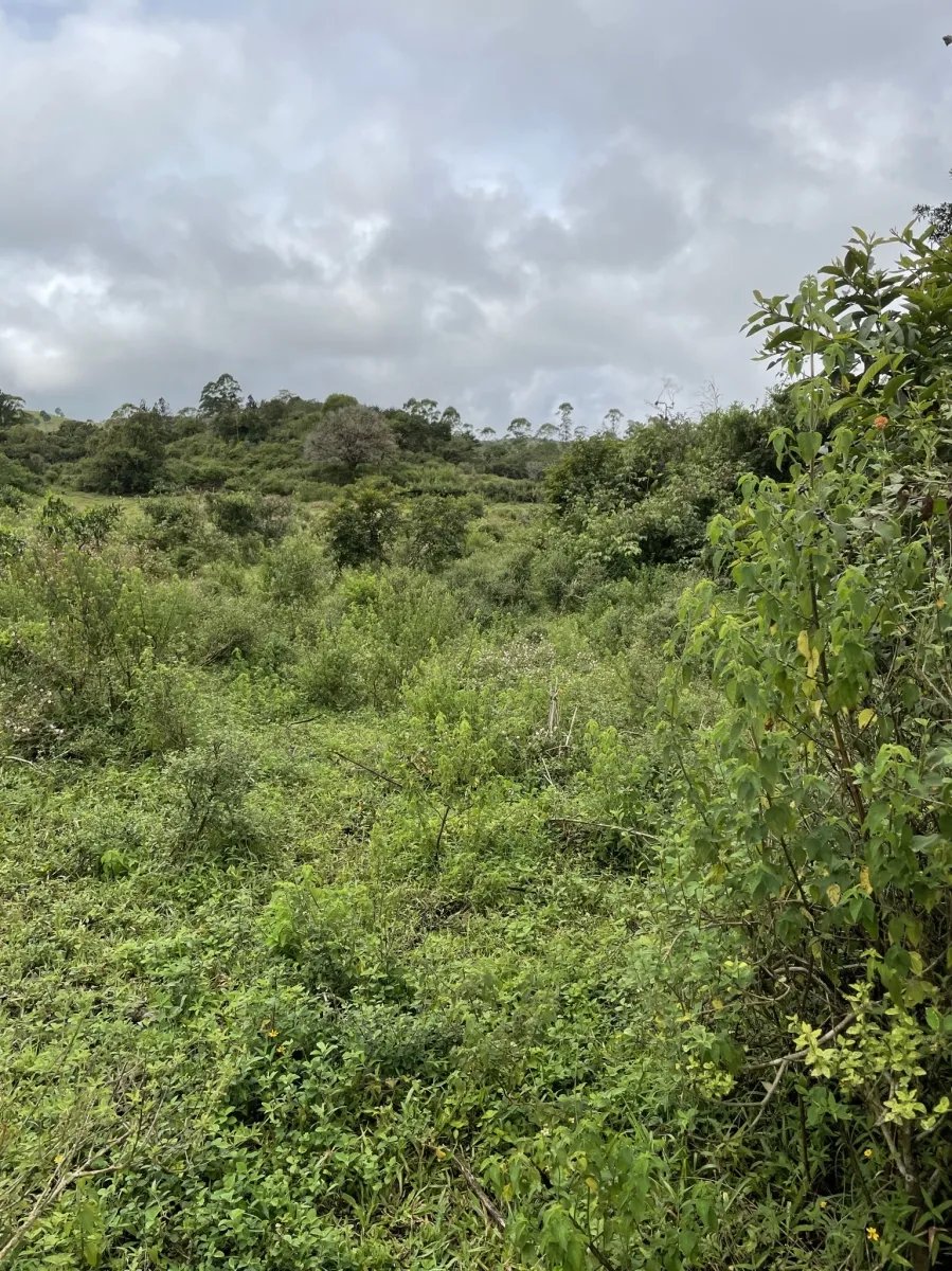 Perfect land for family compound in the highlands overlooking Volcán