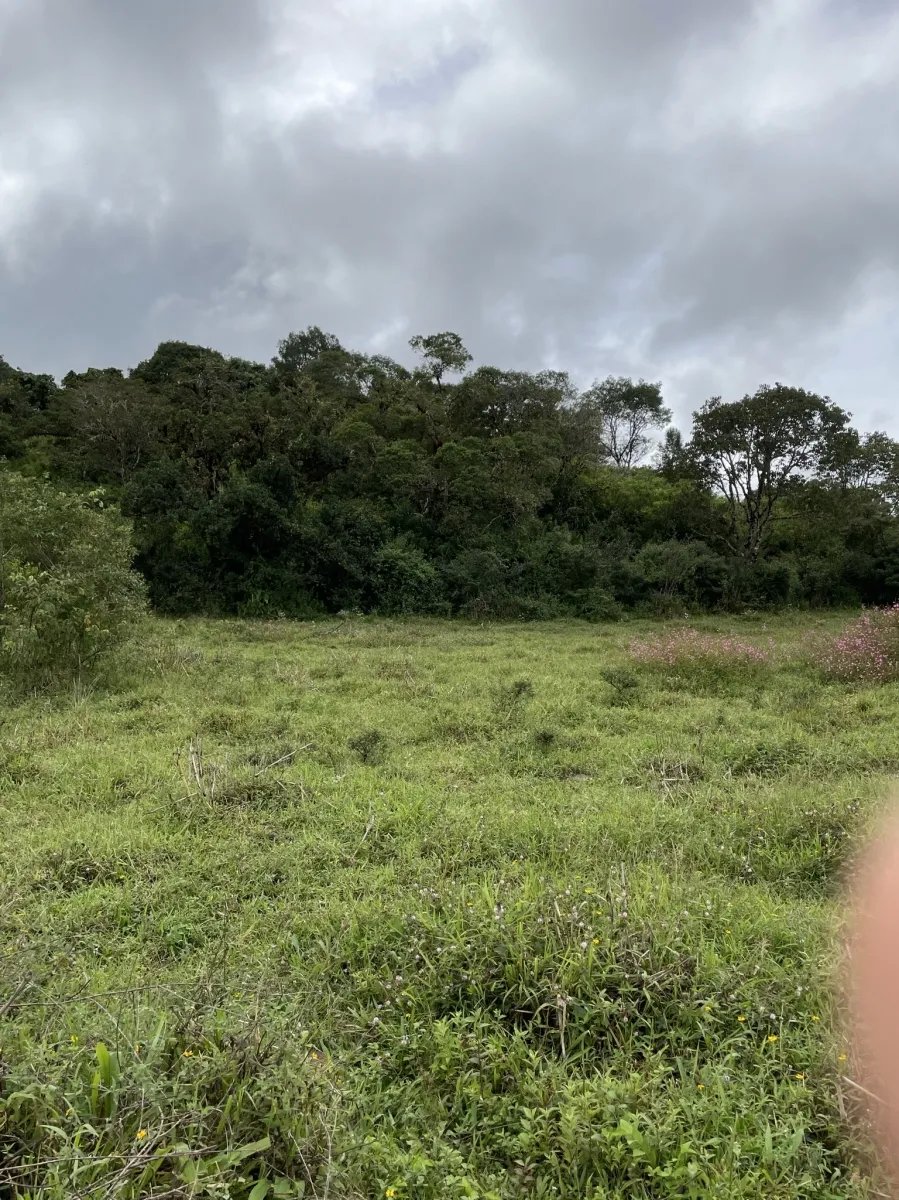 Perfect land for family compound in the highlands overlooking Volcán
