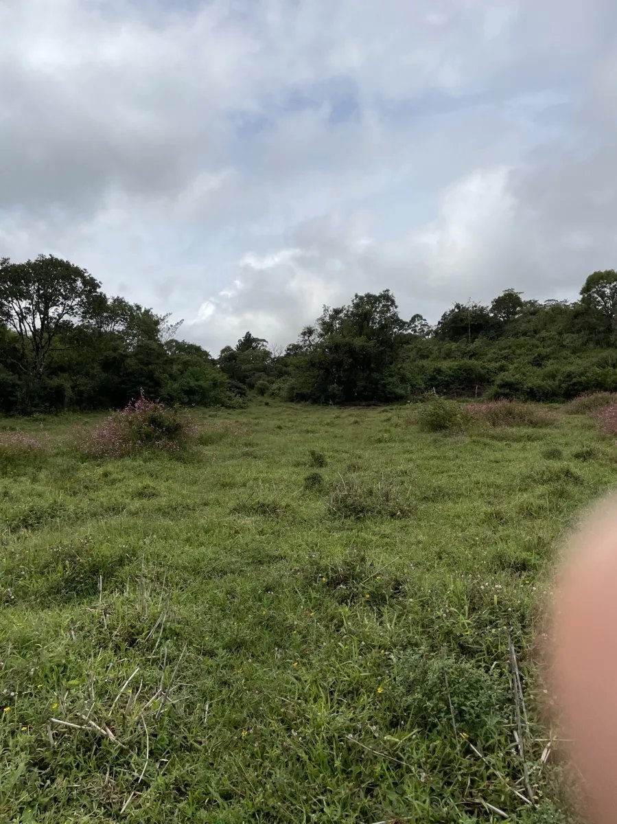 Perfect land for family compound in the highlands overlooking Volcán