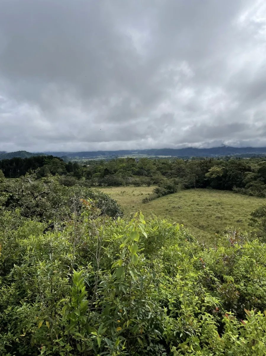 Perfect land for family compound in the highlands overlooking Volcán