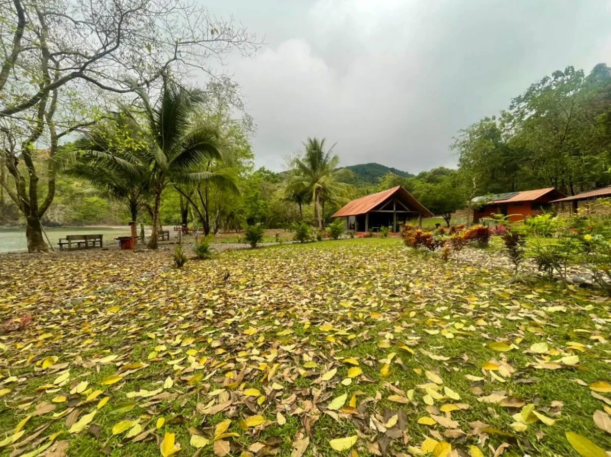 Propiedades de Bosque y Playa en Panamá para la venta; Mata Palo, Cerr...