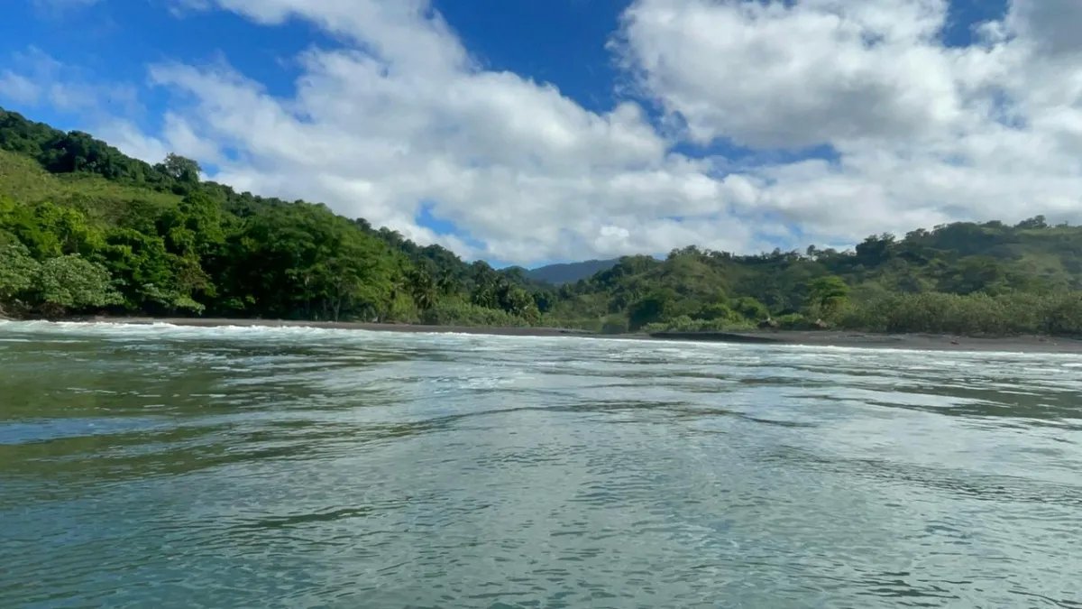 Propiedades de Bosque y Playa en Panamá para la venta; Mata Palo, Cerr...
