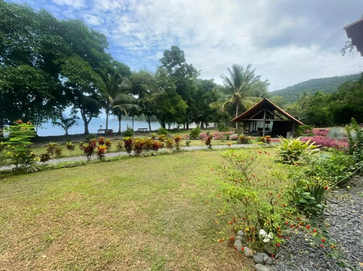Panama Forest & Beach Properties for sale; Mata Palo, Cerro Hoya. Veraguas.