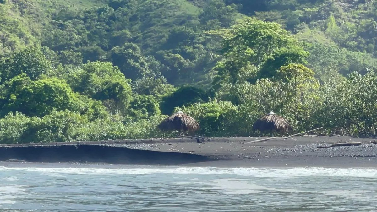 Panama Forest & Beach Properties for sale; Mata Palo, Cerro Hoya. Veraguas.