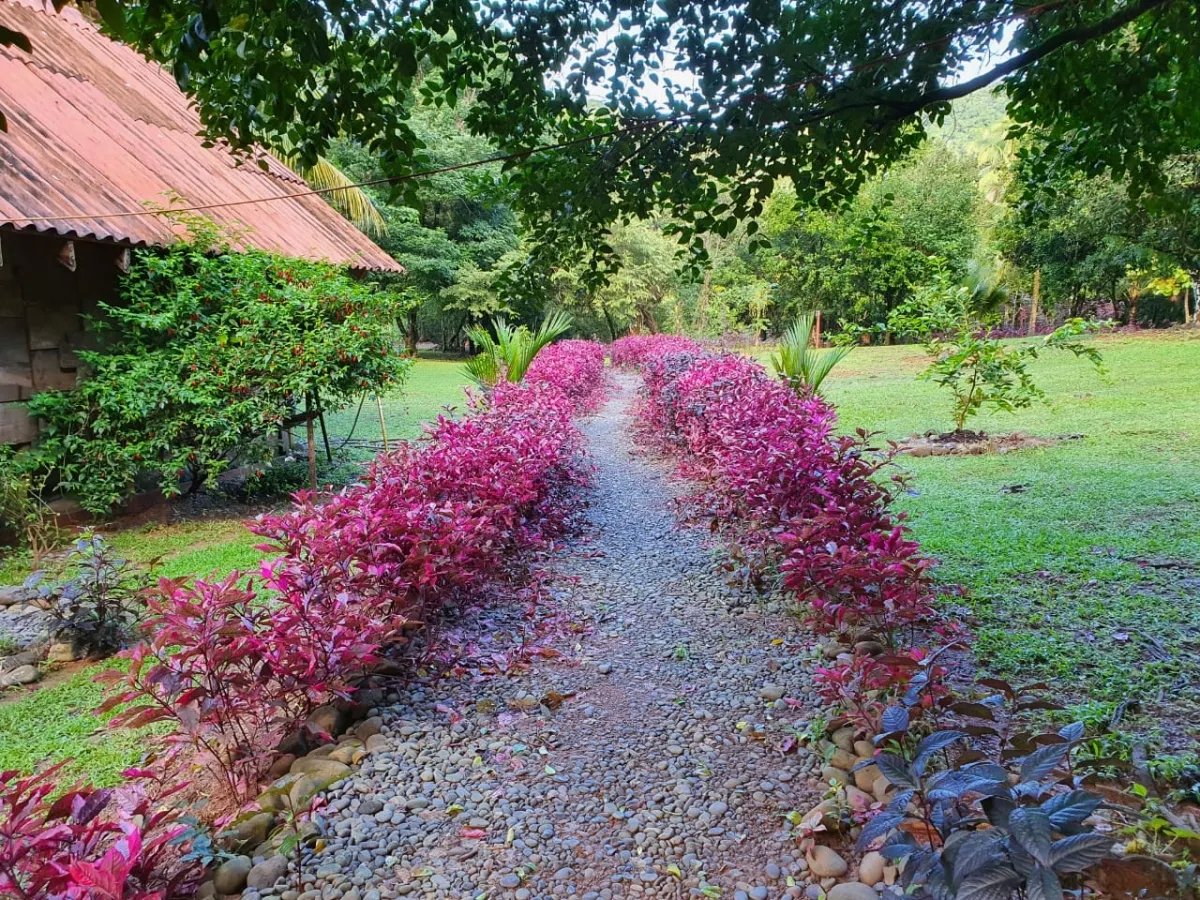 Panama Forest & Beach Properties for sale; Mata Palo, Cerro Hoya. Veraguas.