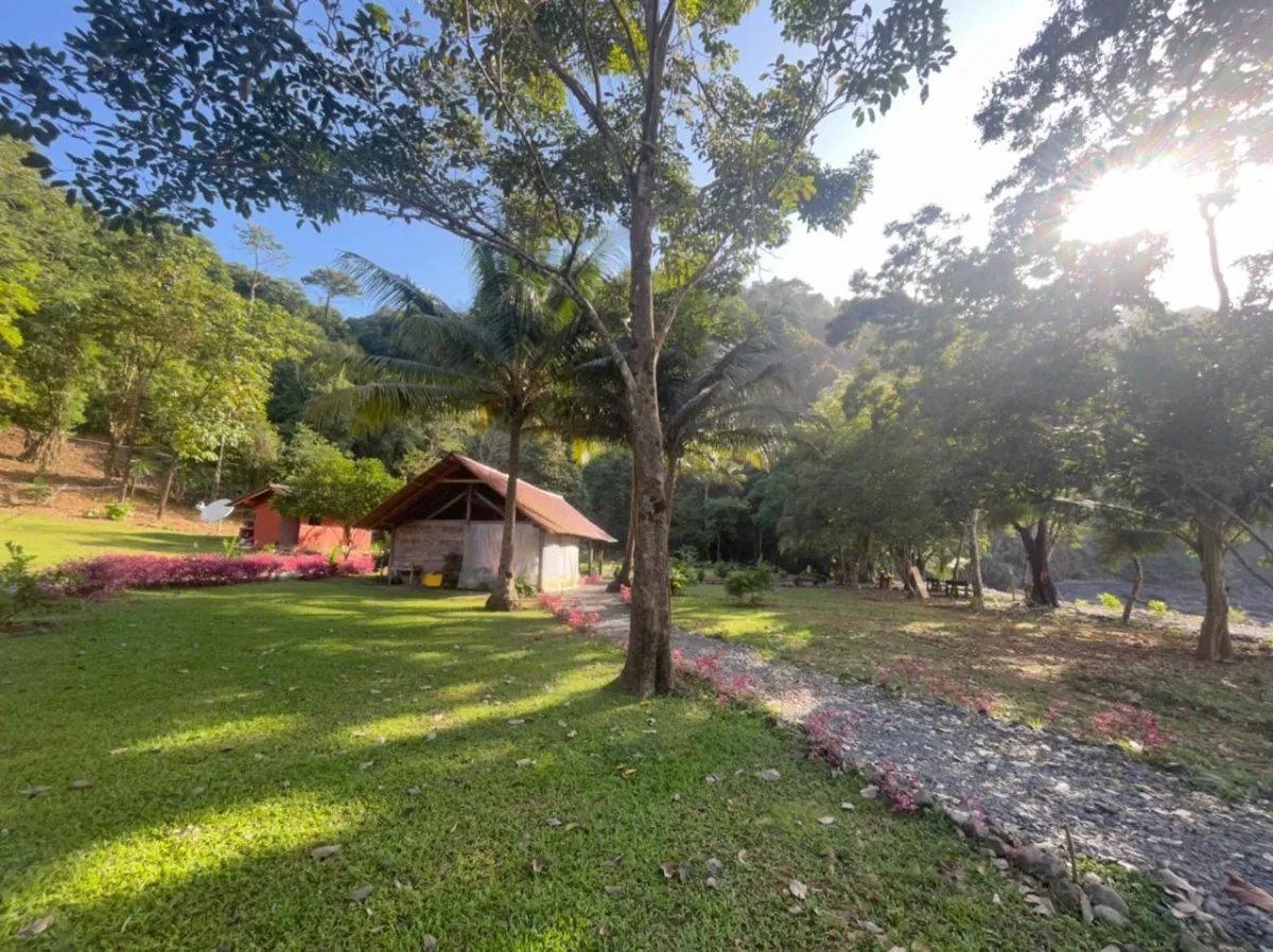 Panama Forest & Beach Properties for sale; Mata Palo, Cerro Hoya. Veraguas.